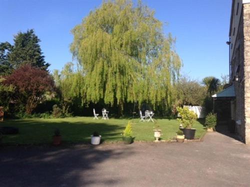 a large tree in a yard with two bikes in the grass at Worth House in Wookey