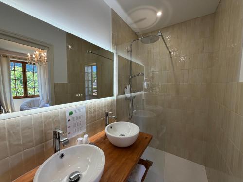 a bathroom with a sink and a shower and a mirror at Hôtel du Moulin in Allemagne-en-Provence