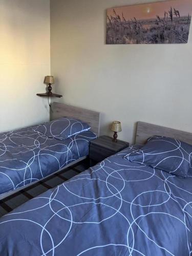 a bedroom with two beds with blue comforter and two lamps at Tastet in MouscardÃ¨s