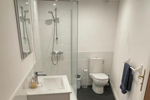a bathroom with a shower and a toilet and a sink at Rural French Gite Sleeps 8 with Pool and Parking in La Croix-Comtesse