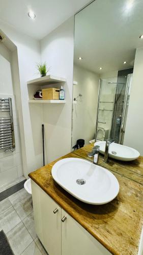 Bright flat near Marais & Chatlet
