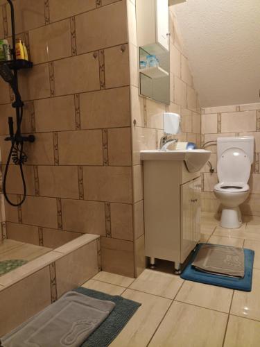 a bathroom with a sink and a toilet and a tub at Guest House Mijić in Korenica