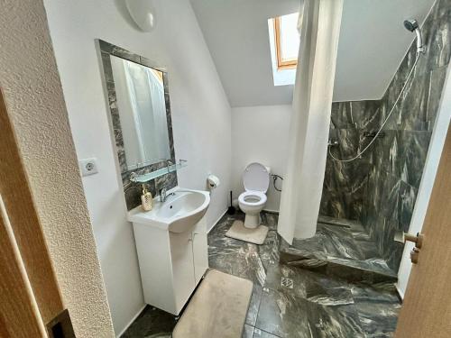 a bathroom with a toilet and a sink and a shower at Vila Safir MM in Şurdeşti
