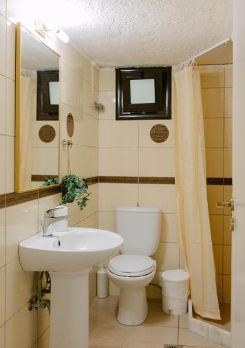 a bathroom with a toilet and a sink and a mirror at Perla Apartments in Agia Pelagia
