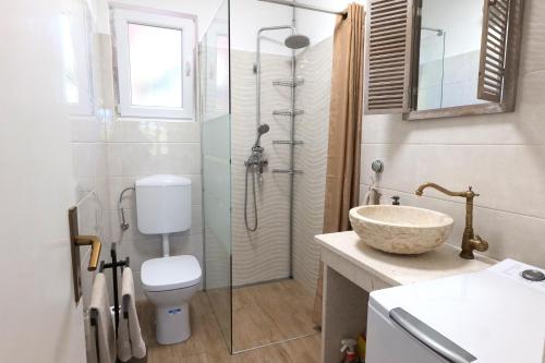 a bathroom with a shower and a toilet and a sink at Apartment Jugo in Preko