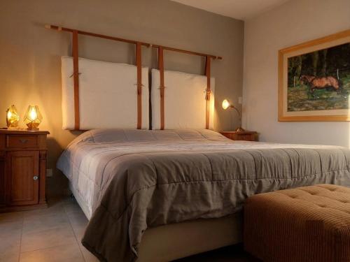 ein Schlafzimmer mit einem großen Bett in einem Zimmer in der Unterkunft PATO BLANCO in Ciudad Lujan de Cuyo