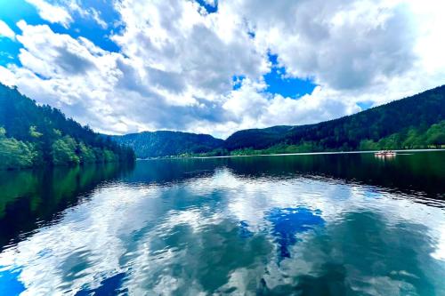 Charming flat in the heart of Gérardmer