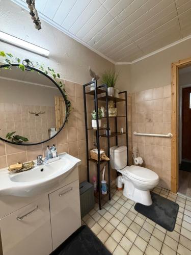 a bathroom with a sink and a toilet and a mirror at The Cottages - Pet Friendly in Meißendorf