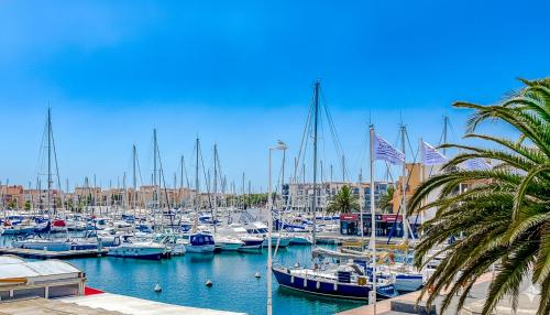 a bunch of boats docked in a harbor with a palm tree at TERRASSE Vue MARINA - PARKING Privé - Port Commerces & PLAGE à PIED - Vue Exceptionnelle - RétroMirabeau "Côté Mer" in Gruissan