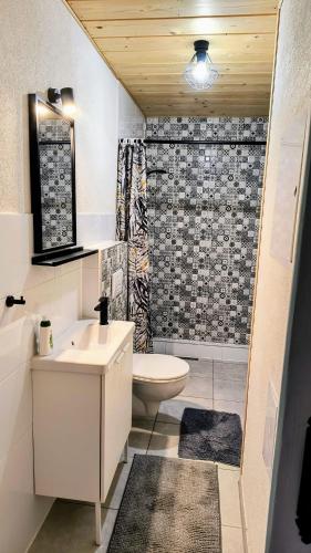 a bathroom with a sink and a toilet and a shower at Leśne Doliny 38 in Zwiartów