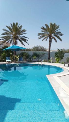 a blue swimming pool with palm trees in the background at Villa La Palmeraie d'Arkou, grande piscine in Arkou