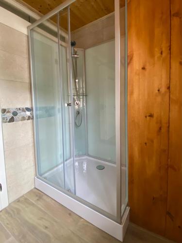 a shower with a glass door in a bathroom at Villa Zeppelin - App Bergkristall in Bramberg am Wildkogel
