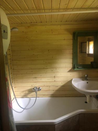 a bathroom with a sink and a mirror at Chaloupka Bečov in Blatno