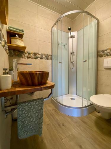 a bathroom with a shower and a sink at Villa Zeppelin - App Smaragd in Bramberg am Wildkogel