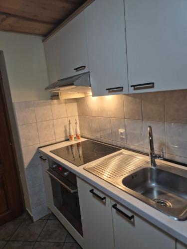 a kitchen with a sink and a counter top at Turistična kmetija Kunstek in Rogatec