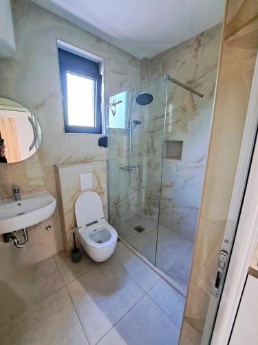a bathroom with a shower and a toilet and a sink at Vila Cattleya in Donji Štoj