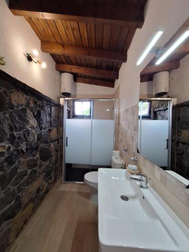 a bathroom with a white sink and a toilet at La Campestre in La Guancha