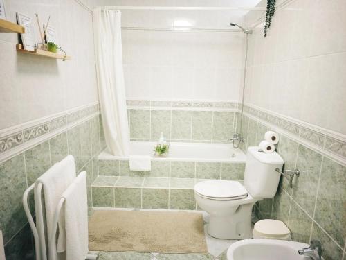 a bathroom with a toilet and a bath tub at Vale de Azereiros Apartamentos - Alojamento no Gerês in Geres