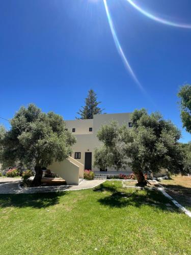 two trees in front of a building at Nikos Apartments & Studios in Plakias
