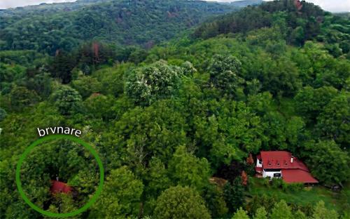 an aerial view of a house in the middle of a forest at Distrikt Ranč Platan - Jus naturale, Fruška gora in Vrdnik