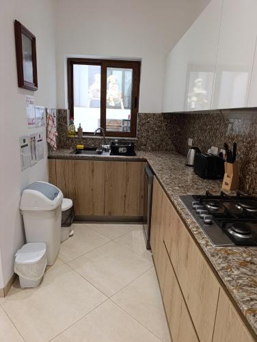 a kitchen with a sink and a stove at Alina Boutique Living in Victoria