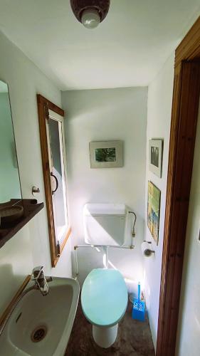 a bathroom with a white toilet and a sink at Retreat în padure in Buchin