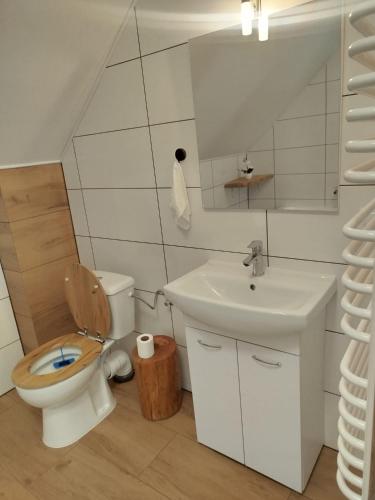 a bathroom with a toilet and a sink at Gorczańska EKO-SFERA in Wola Piskulina