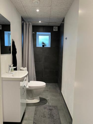 a bathroom with a toilet and a sink at Varde Bed and Kitchen Annekset in Varde