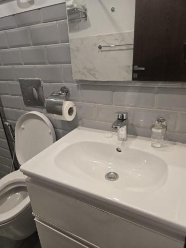 a bathroom with a sink and a toilet and a mirror at Hawana VIP Appartment in Ma‘mūrah