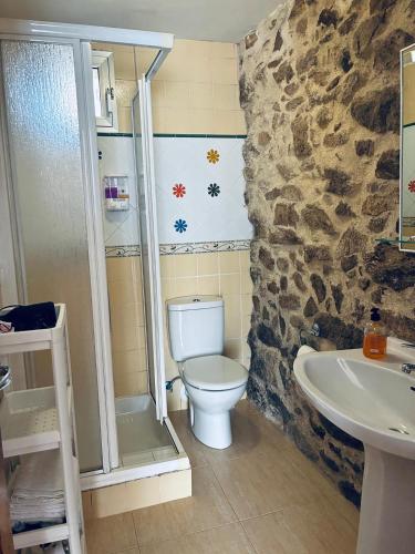 a bathroom with a toilet and a shower and a sink at Casa Avoa María in Ourense