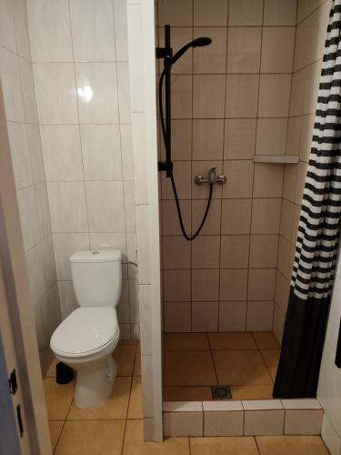 a bathroom with a toilet and a shower at Domek u Ewy w Spychowie in Spychowo