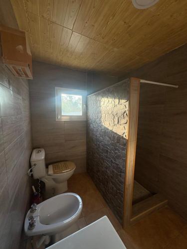a small bathroom with a toilet and a sink at CUEVA RURAL PALAPA DEL PERAL in El Charcón