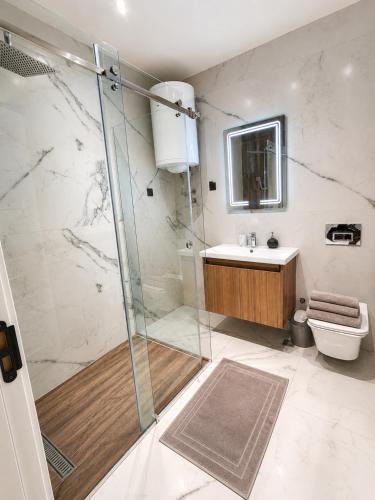 a bathroom with a shower and a sink and a toilet at Dreams house elia in Budva