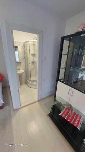 a room with a mirror and a bathroom with a shower at Casa Vio parter in Eforie Nord