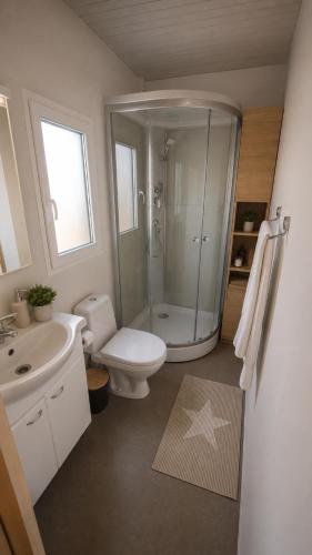a bathroom with a shower and a toilet and a sink at Mobilehome Lana in Privlaka