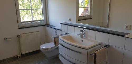 a bathroom with a toilet and a sink and mirror at Fewo Mandelsloh in Neustadt am Rübenberge
