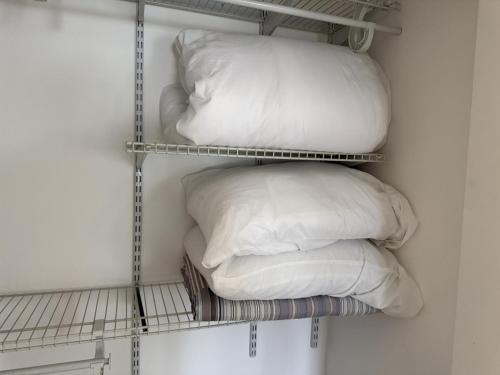 Quiet retreat near Coconut Grove free parking photo 46
