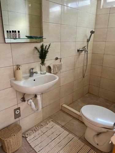 a bathroom with a sink and a toilet at Guest House Life in Neum