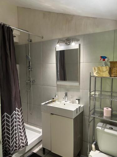 a bathroom with a sink and a shower at Studio "Jakar" près de Toulouse in Saint-Jean