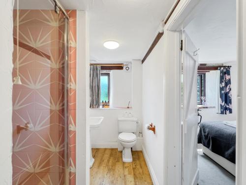 a small bathroom with a toilet and a shower at Jasper Cottage Hawkridge in Dulverton