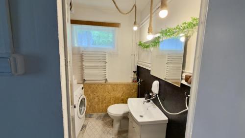a bathroom with a white toilet and a sink at Agroturystyka całoroczna Ranczo Husinka in Husinka