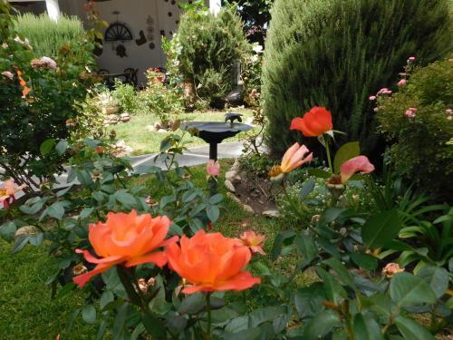 a garden with orange flowers and a bird bath at Hotel Portal del Santo in Cafayate