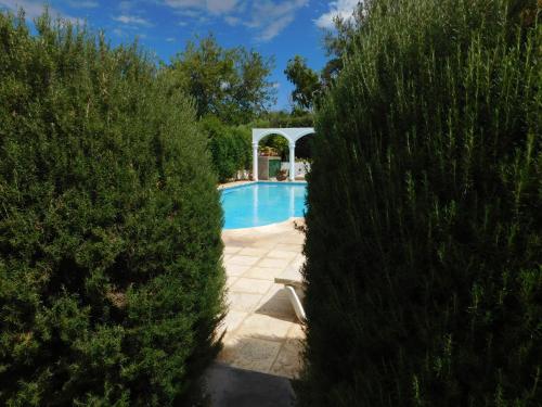 a swimming pool between two hedge hedges at Hotel Portal del Santo in Cafayate