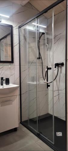 a shower with a glass door next to a sink at Szalona Gęś in Gąski