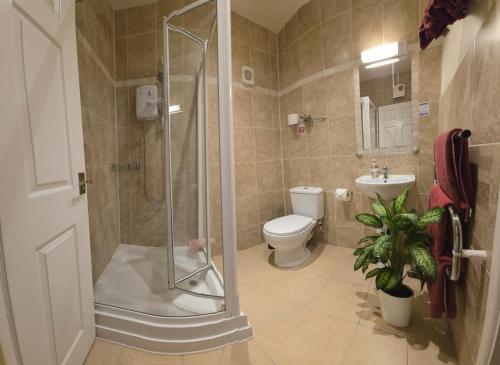 a bathroom with a shower and a toilet and a sink at Miltons Apartments and Rooms in Langford