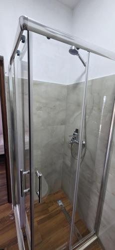 a shower with a glass door in a bathroom at Memo's GUEST house in Labova e Poshtme