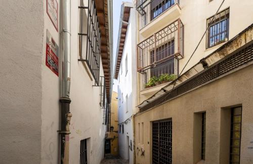 LM Apartamentos Elvira