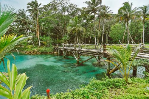 a bridge over a river in a forest with palm trees at Savasi Island Resort in Savusavu