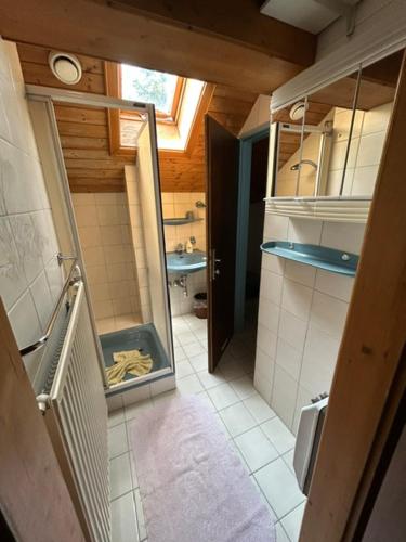 a small bathroom with a sink and a mirror at Appartments Prinz - Gerlitze in Tobitsch