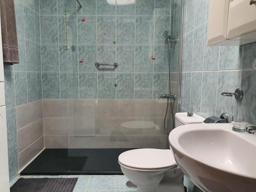 a bathroom with a shower and a toilet and a sink at Casa Kiara in Costa Calma